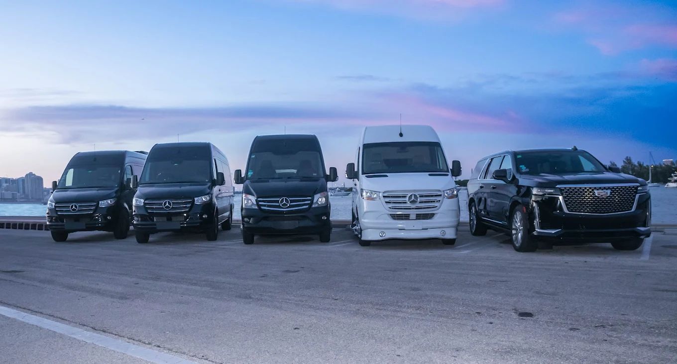 The Aura Palm fleet lined up at dusk on the South Florida waterfront